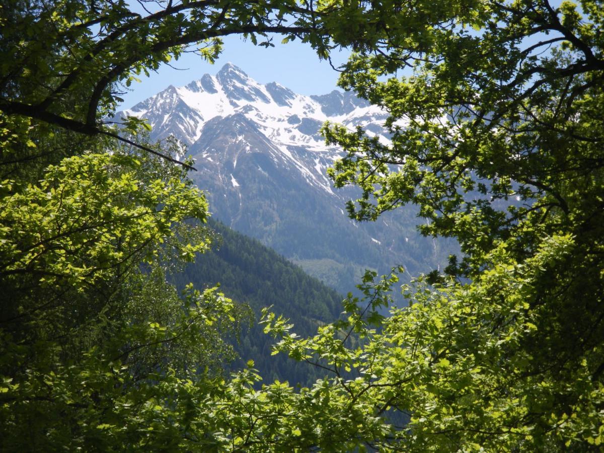 Appart Burgwies Ink Nationalpark Sommercard Stuhlfelden Ngoại thất bức ảnh